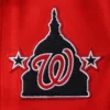Men Washington Nationals Pro Standard Varsity Logo Jacket 3
